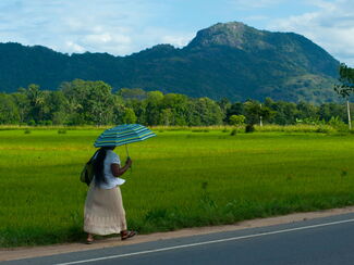 Sri Lanka – tropisches Inselparadies