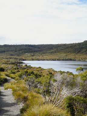 Tasmanien – Rundreise durch Naturparadies