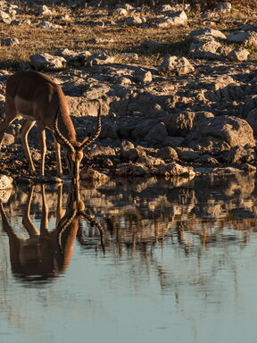 Namibia – Kontraste einer Wildnis