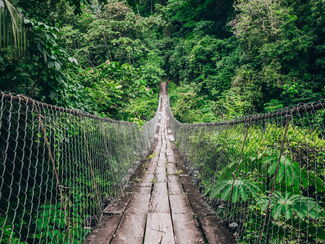 Costa Rica – Naturerlebnis im Tropenparadies