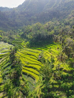 Indonesien – Bali, Java & Gili‑Inseln – Inselparadies und Vulkankultur