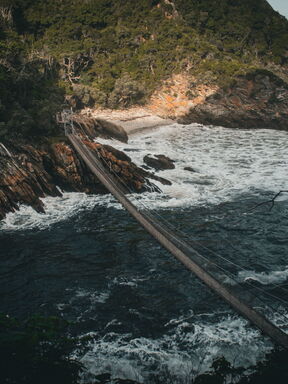 Tsitsikamma – Urwald, Big Five und Garden Route