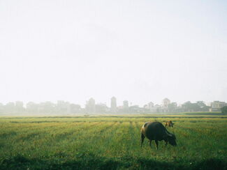 Vietnam – Fotoreise zu Reisefeldern und Karstlandschaften